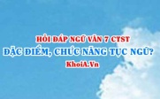 Đặc điểm và chức năng của tục ngữ là gì? Ngữ Văn lớp 7...